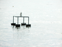 http://www.soerenhiob.com/files/gimgs/th-64_Kopernikanische seefahrt 8.jpg
